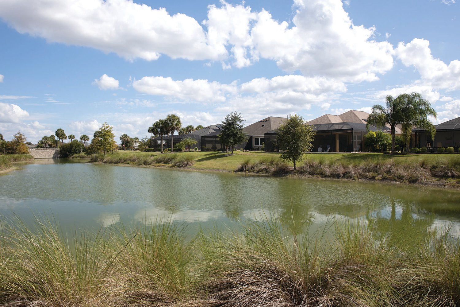 Rentention pond in a neighborhood in the Villages located in Florida.